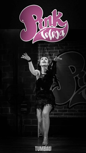 Pink'Tolosa 2026 - Intervenants et danseurs au festival de salsa